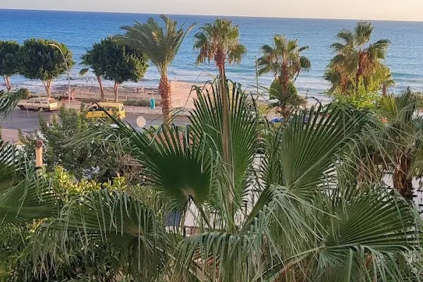 Alva Sitesi - Resim 6
