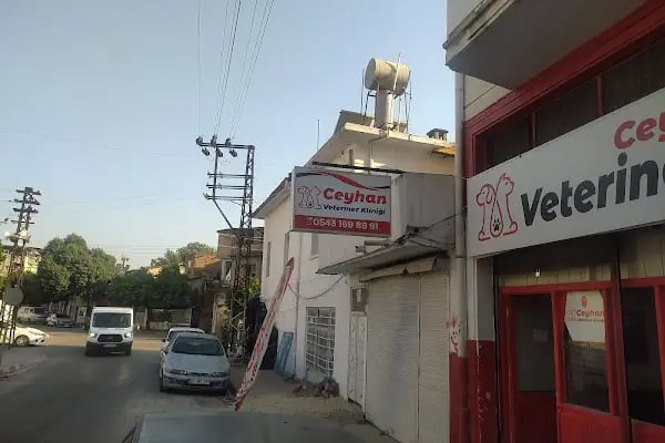 Ceyhan Veteriner Kliniği - Resim 3