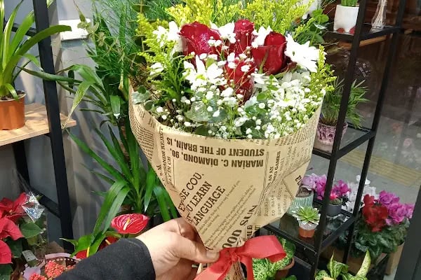 Sakarya Çiçekçi - Ramir Çiçekçilik ve Organizasyon - Resim 14