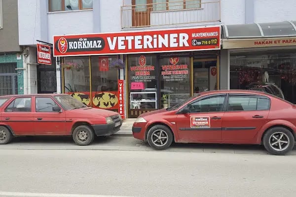 ÖZ KORKMAZ VETERİNER MUAYENEHANESİ - Resim 3