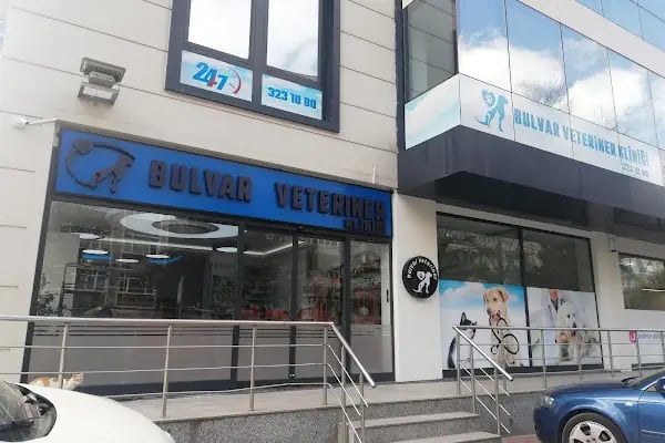 Bulvar Veteriner Kliniği - Resim 2