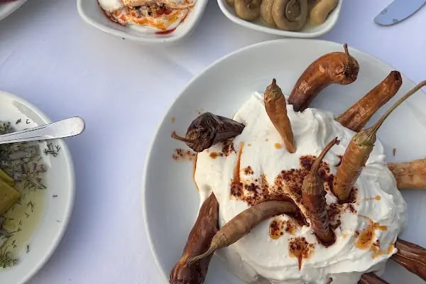 Garson Şükrü Aile Restaurant - Resim 3