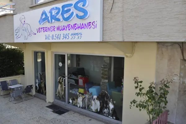 Ares Veteriner Kliniği - Resim 6