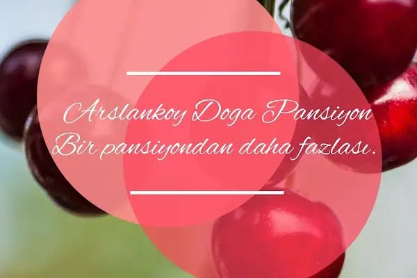 Arslanköy Doğa Pansiyon - Resim 13