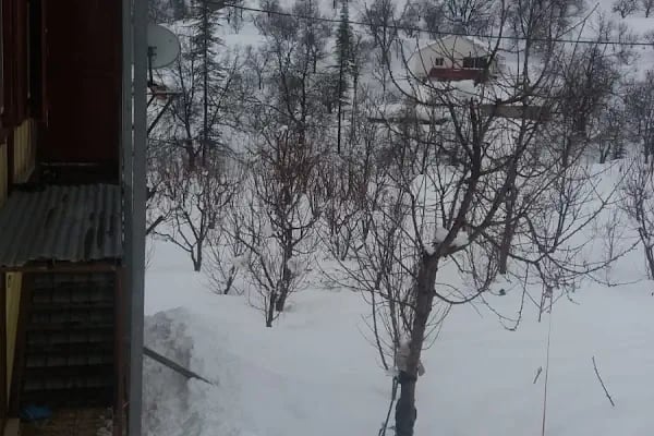 Arslanköy Doğa Pansiyon - Resim 17