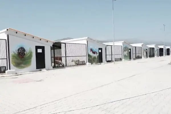 Akşehir Belediyesi Sahipsiz Hayvan Bakımevi ve Rehabilitasyon Merkezi - Resim 5