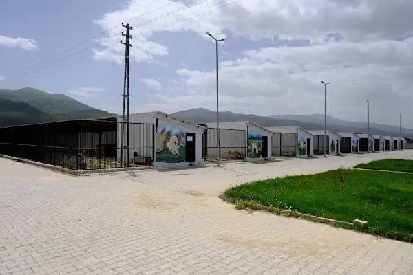 Akşehir Belediyesi Sahipsiz Hayvan Bakımevi ve Rehabilitasyon Merkezi - Resim 2