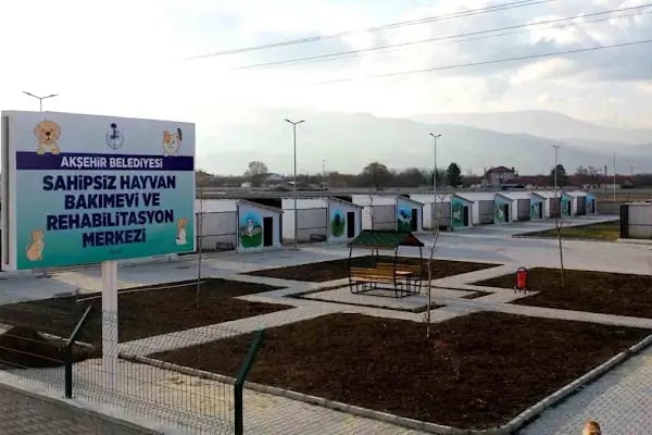 Akşehir Belediyesi Sahipsiz Hayvan Bakımevi ve Rehabilitasyon Merkezi - Resim 10