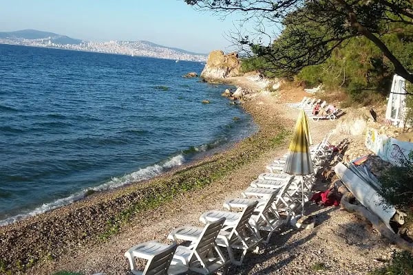 Fi Club Spa & Wellness Kadıköy - Resim 2