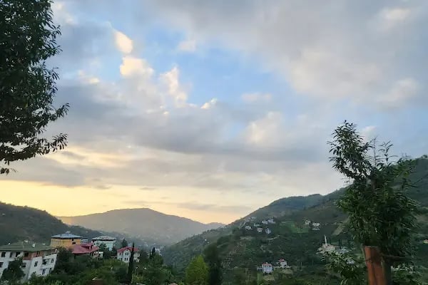Muhcuoğlu mahalle - Resim 3