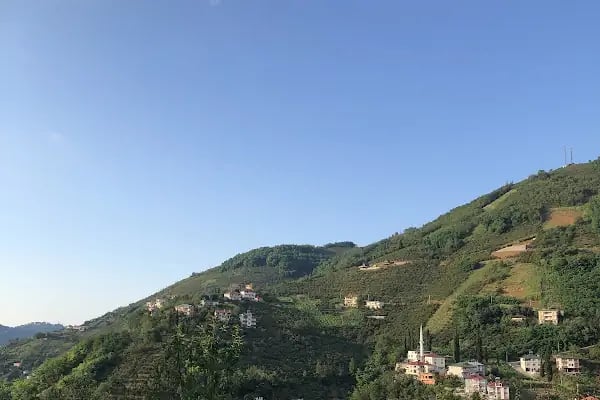 Muhcuoğlu mahalle - Resim 1