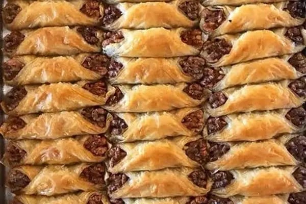 Fıstıkzade Anteplioğlu - Resim 10