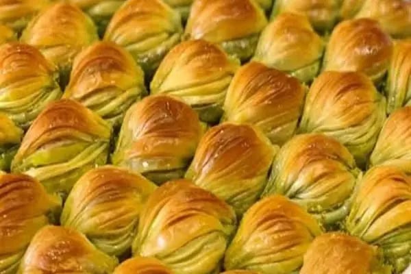 Fıstıkzade Anteplioğlu - Resim 9