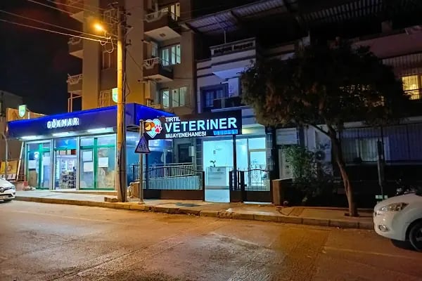 Tırtıl Veteriner Kliniği - Resim 4