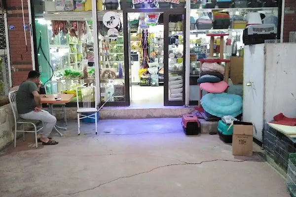 Boncuk petshop - Resim 1