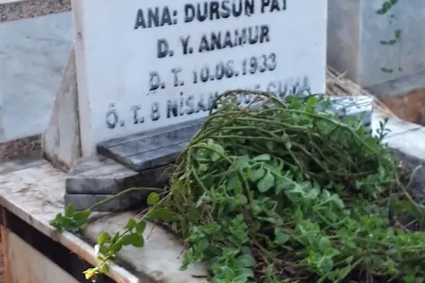 İslahiye Mezarlığı - Resim 7