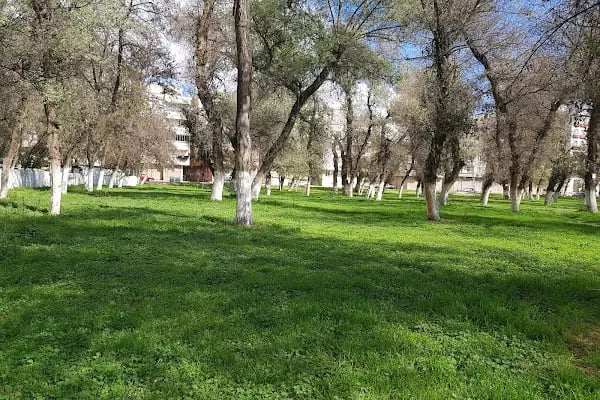 Birecik Belediyesi - Resim 12