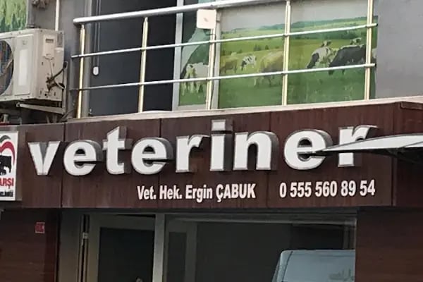 Çarşı Veteriner Kliniği - Resim 4