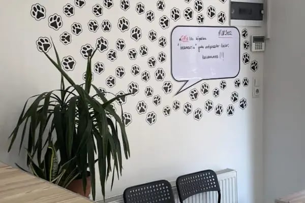 Çarşı Veteriner Kliniği - Resim 11