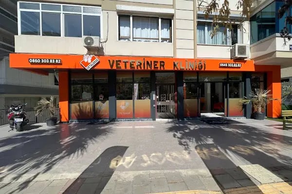 Vetaverse Veteriner Kliniği - Resim 4