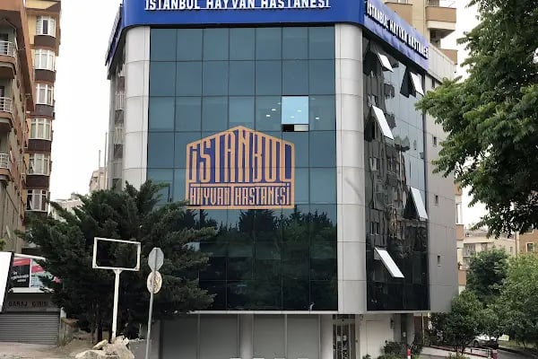 acıbadem ataşehir hastanesi - Resim 1