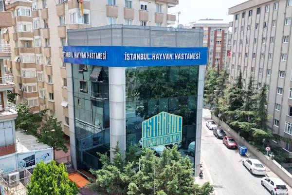 acıbadem ataşehir hastanesi - Resim 7