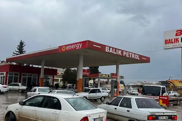 BALIK PETROL - Resim 5