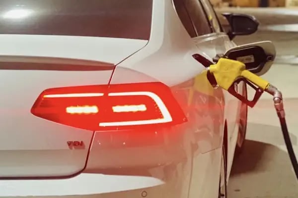 BALIK PETROL - Resim 2