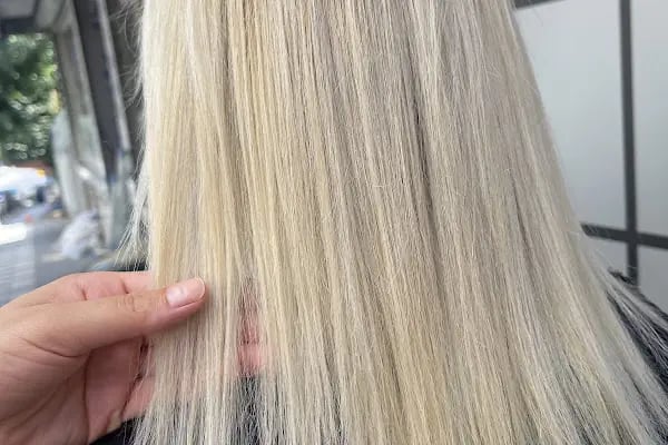Salon gül - Resim 2