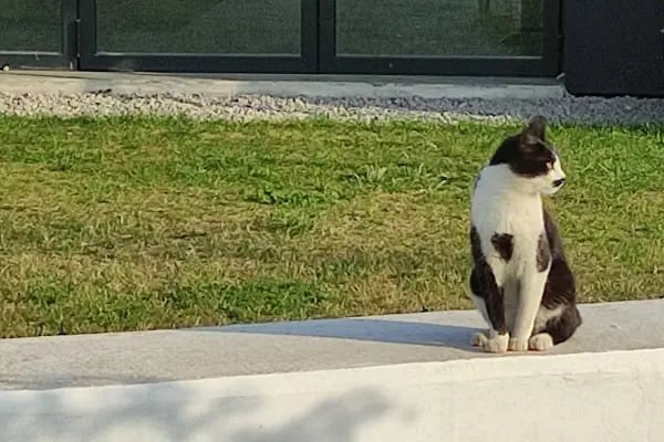 Mersin Millet Bahçesi. - Resim 9