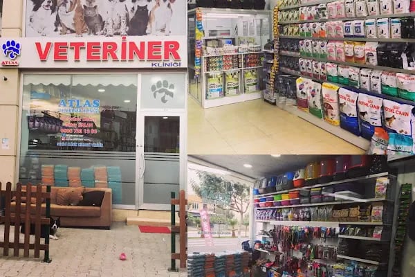 ATLAS VETERİNER POLİKLİNİĞİ - Resim 7