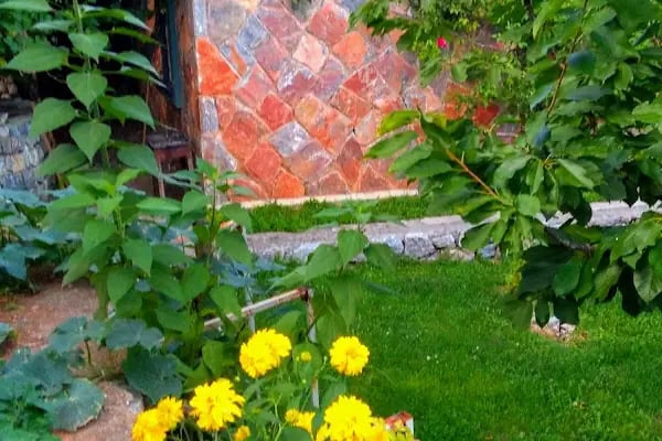 Pendosis Tatil Sitesi - Resim 13