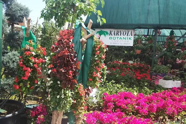 Saray Botanik - Resim 13