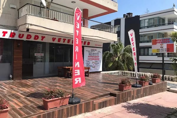 PetBuddy Veteriner Kliniği - Resim 4