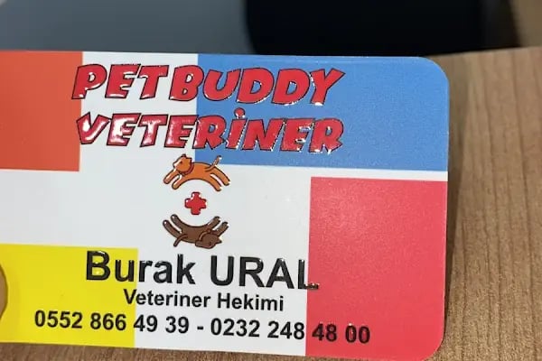 PetBuddy Veteriner Kliniği - Resim 20