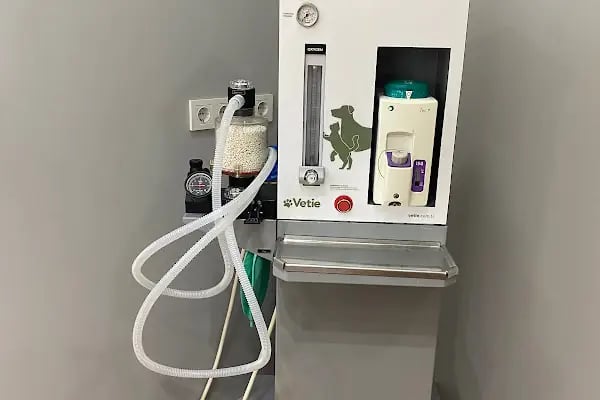 PetBuddy Veteriner Kliniği - Resim 11