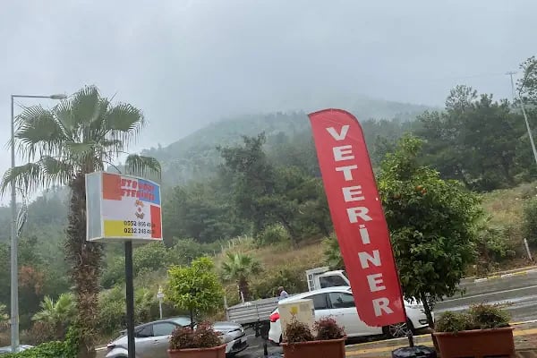 PetBuddy Veteriner Kliniği - Resim 14