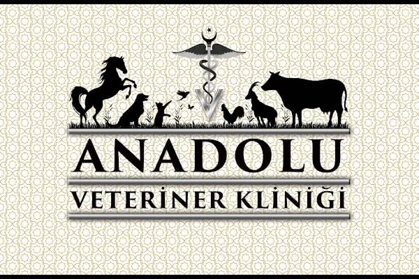 KONYA VETERİNER ANADOLU VETERİNER KLİNİĞİ VE İLAÇLARI - Resim 11