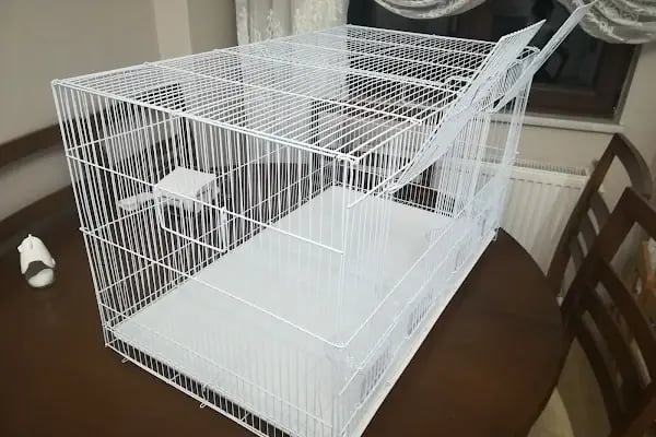 Rich Puppy Pet Shop &amp; Pet Kuaför &amp; Pet Cafe - Resim 14