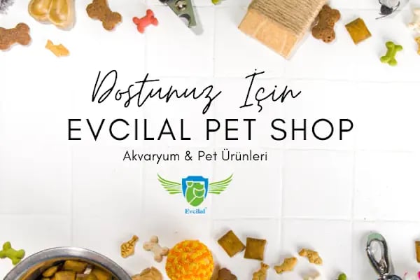 Rich Puppy Pet Shop &amp; Pet Kuaför &amp; Pet Cafe - Resim 4