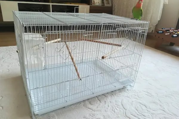 Rich Puppy Pet Shop &amp; Pet Kuaför &amp; Pet Cafe - Resim 11