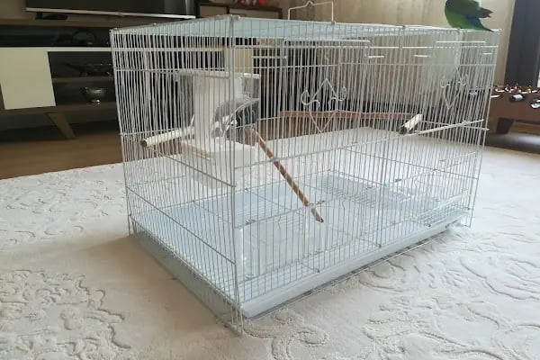 Rich Puppy Pet Shop &amp; Pet Kuaför &amp; Pet Cafe - Resim 3