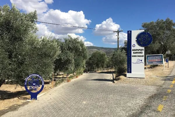 Arapapıştı Kanyonu - Resim 18