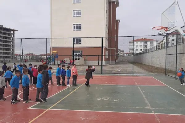 BİRUNİ İLKOKULU - Resim 2