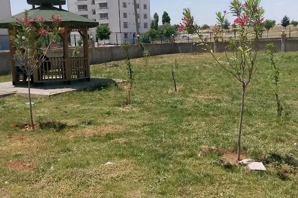 Yeditepe Yemek Fabrikası - Resim 5