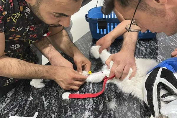 Nezir Veteriner Kliniği - Resim 16