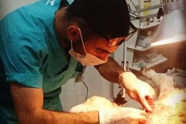 Nezir Veteriner Kliniği - Resim 11