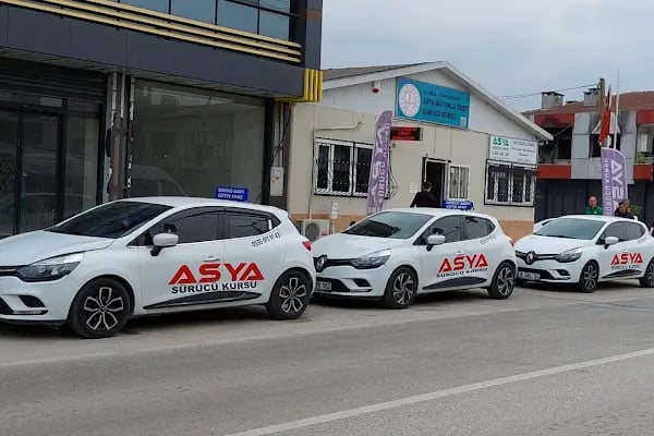 Özel Asya Sürücü Kursu - Resim 4