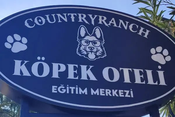 Countryranch Bodrum Kedi-Köpek Oteli ve Köpek Eğitim Merkezi - Resim 2