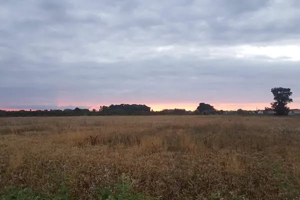 Alatarla Delta - Resim 16